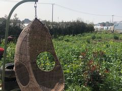 -小鱼草莓采摘园农家乐·小鱼餐厅