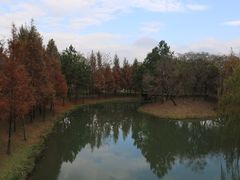 -尚贤河湿地
