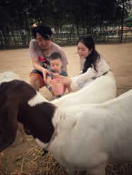 -上美四季动物农场