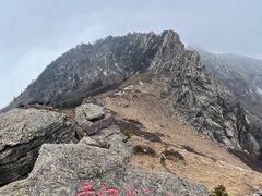 -终南山国家森林公园