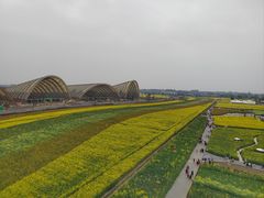 -中国天府农业博览园
