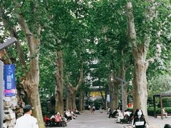 -静安公园(静安寺街道)