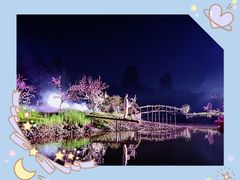 -常德桃花源景区