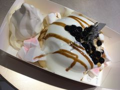 -狐狸和向日葵(北京路店)