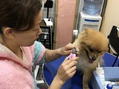 -PETKIT小佩宠物(古北店)