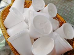 -洪馨椰子
