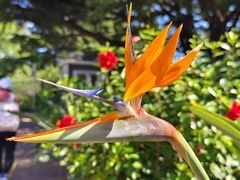 -上庄晋风庄园(上庄店)