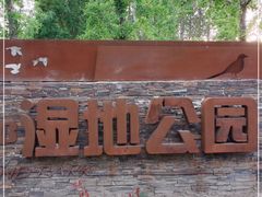 -东郊湿地公园