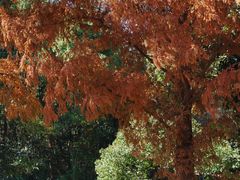 -敬亭山风景名胜区