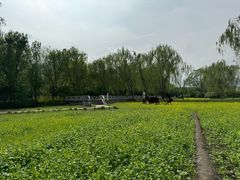 -北坞公园