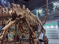 -自贡恐龙博物馆