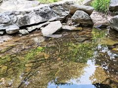-北京密云天门山风景区