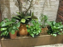 android_upload_pic-蜀记火锅(南街店)