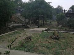 -石家庄市动物园