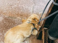 -小时候焗海鲜(鄞州万达店)