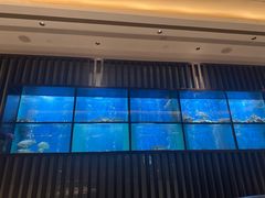 -珍宝海鲜JUMBO Seafood(尚嘉店)