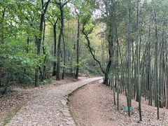 -西湖风景区十里琅珰-五云山