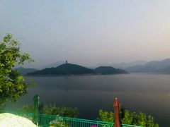 -望湖烤鱼