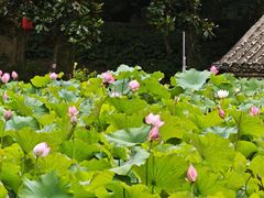 -郭洞古生态村