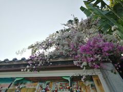 -深圳国际园林花卉博览园