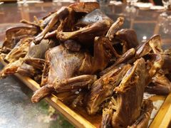 -食家鸽园