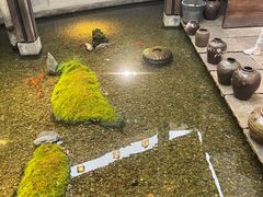 -几荷·恰似故人来(秀水广场店)