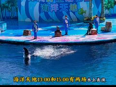 -深圳野生动物园