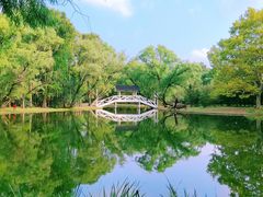 -上海共青森林公园