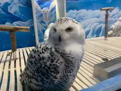 -成都浩海立方海洋公园