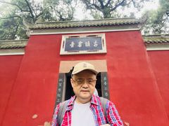 -子昂故里文化旅游区