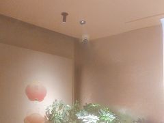 -桂满陇·蟹黄小笼汤包(中山公园店)