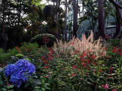 -深圳国际园林花卉博览园