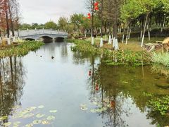 -映月湖公园