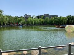 -莲湖公园