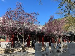 -潭柘寺景区