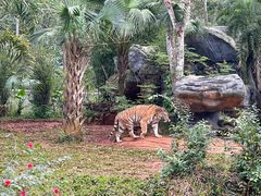 -海南热带野生动植物园