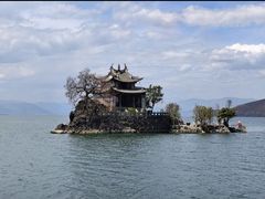 -小普陀