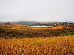 -贵州云顶草原民族风情园