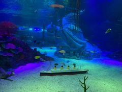 -沈阳海洋探索中心