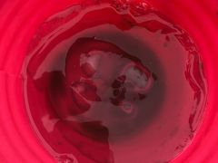 -东戴河风景区-止锚湾