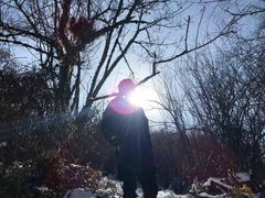 -太子岭滑雪场