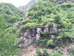 -六里坪国家森林公园
