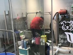 -PETKIT 小佩宠物·低压洗护·美容·寄养(安远店)