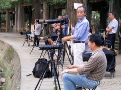 等候鸟儿-四川大学(华西校区)
