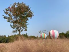 -同里国家湿地公园