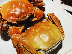 阳澄湖大闸蟹-虾胡闹·澳洲小龙虾·烧烤(福田鲨鱼店)