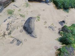 -青岛银沙滩