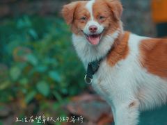 -白云源风景区