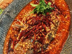-大张烙馍村·美食地标(泉山店)
