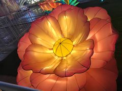 -南京时尚莱迪购物广场(正洪街店)